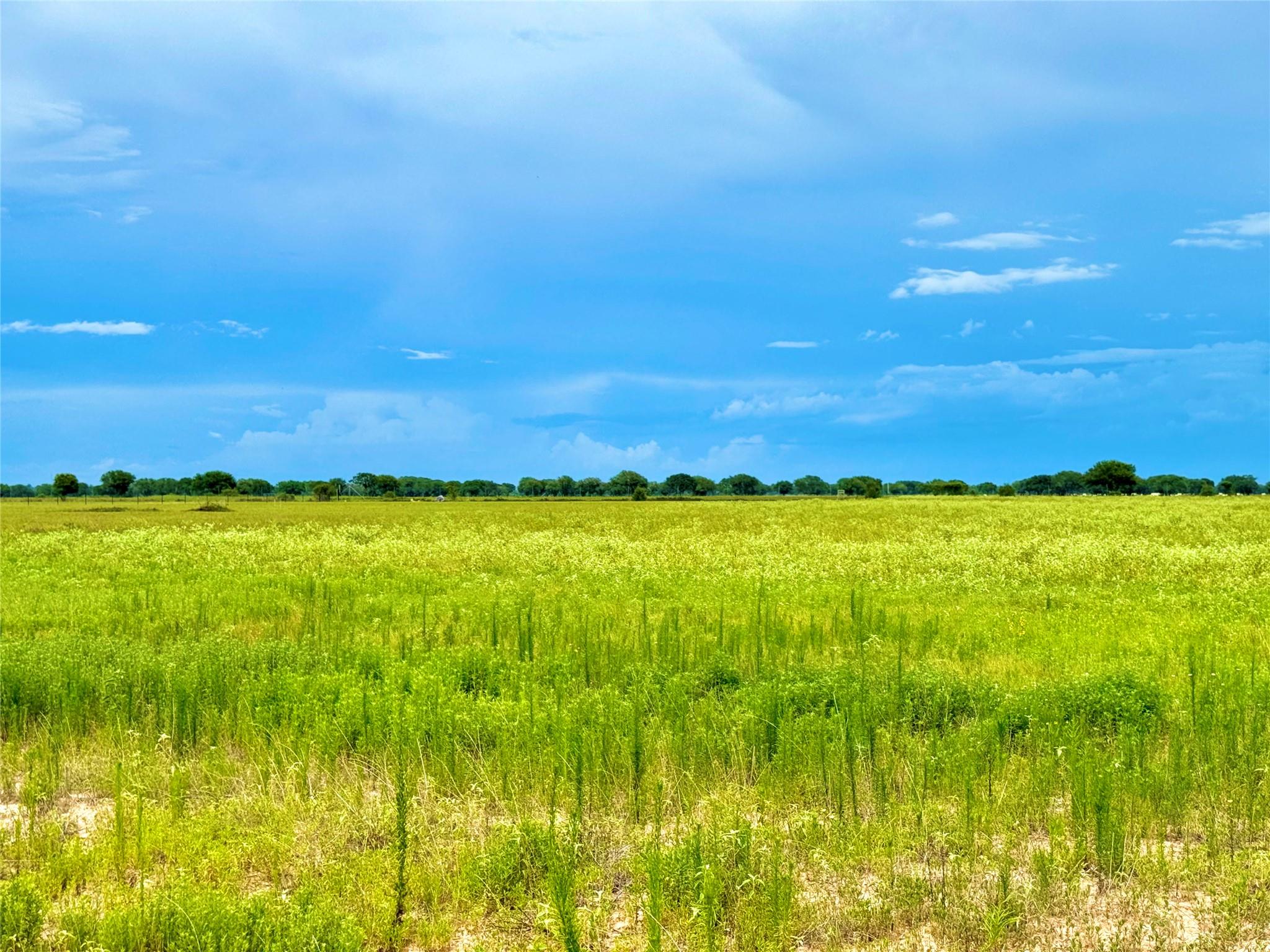 Tbd Tract 105 Pin Tail Lane Rock Island TX 78934