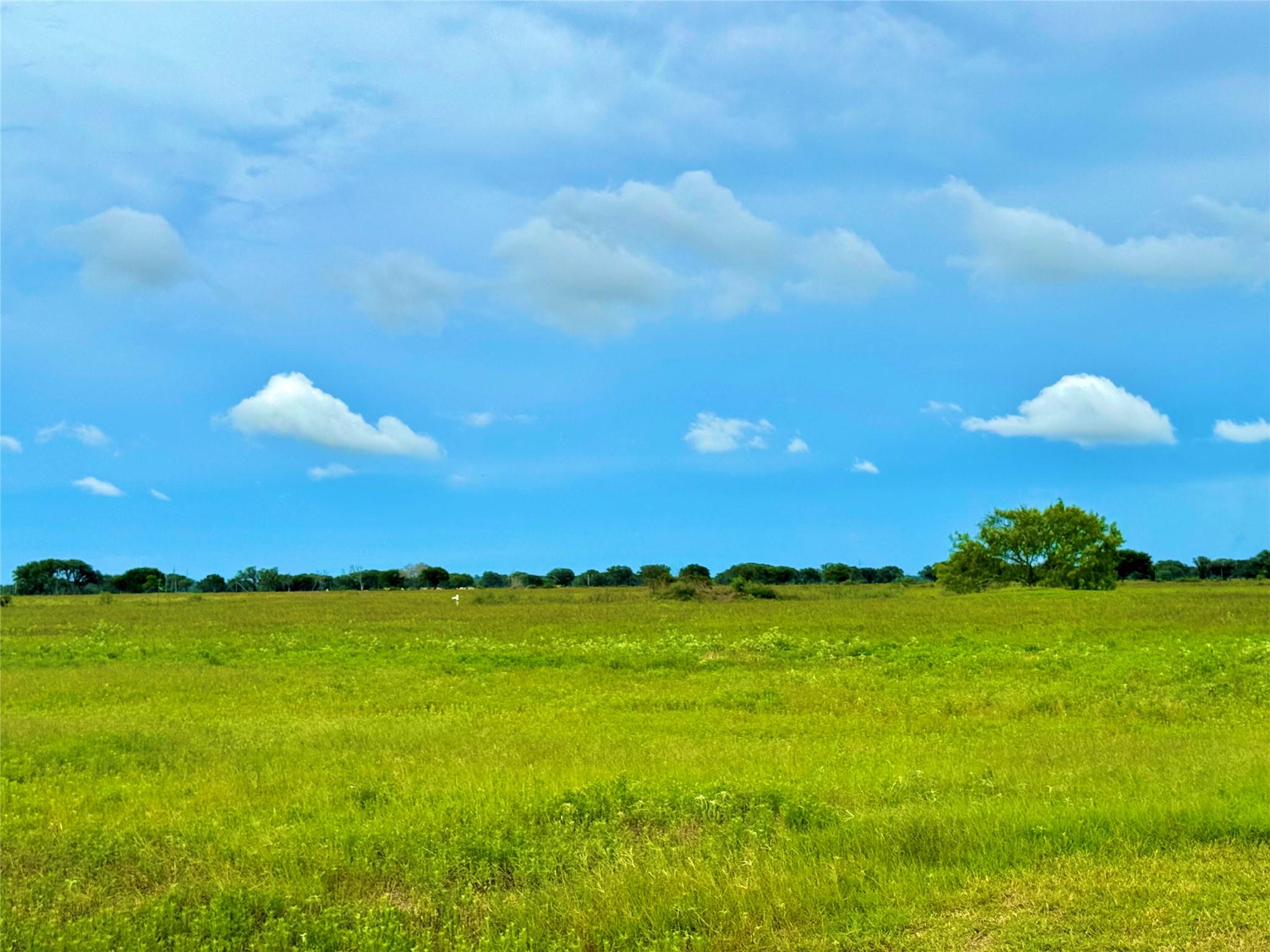 Tbd Tract 105 Pin Tail Lane Rock Island TX 78934