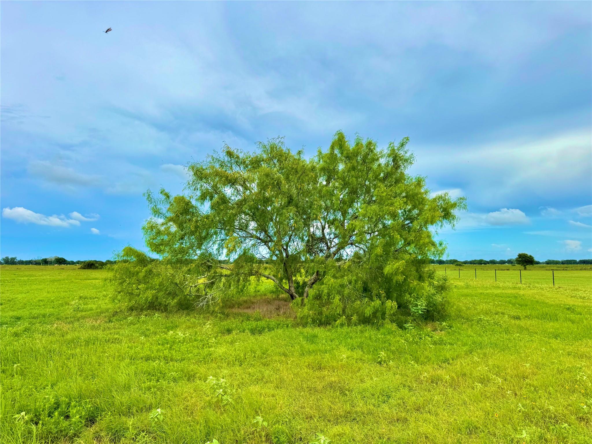 Tbd Tract 105 Pin Tail Lane Rock Island TX 78934