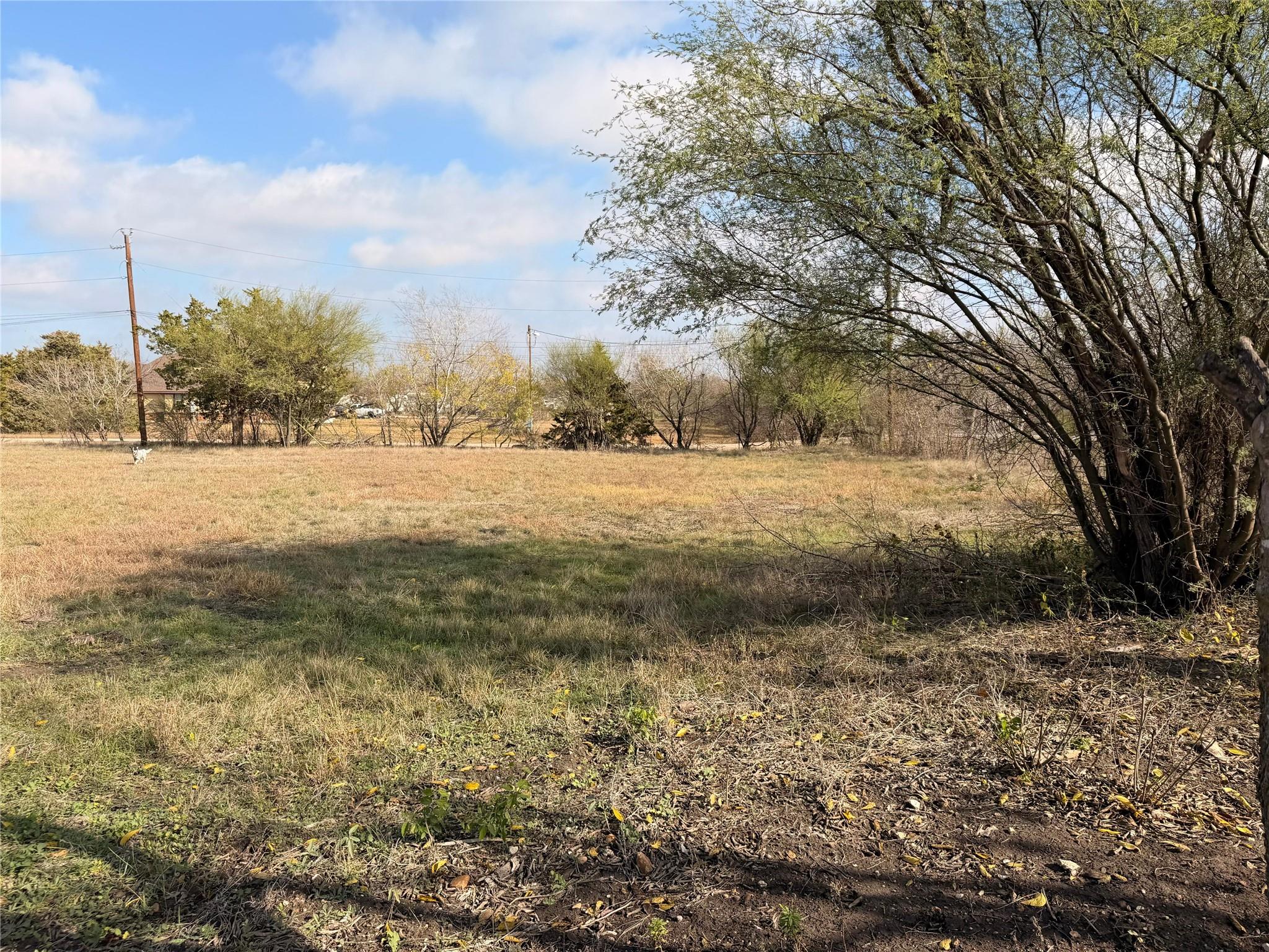 11622-A Doyle Overton-a Road Austin TX 78719