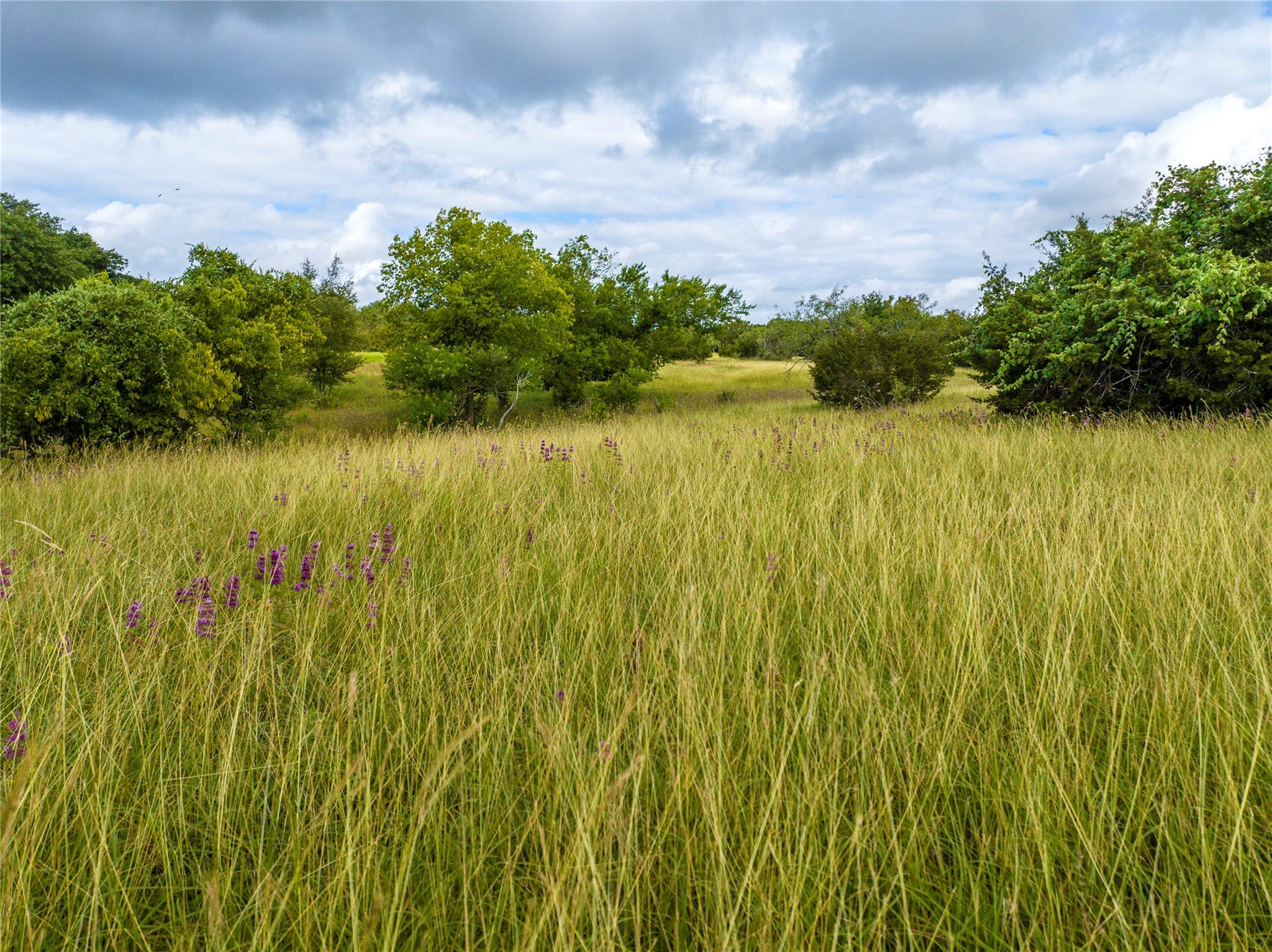 00 Vaquero Vista Trail Lane Lampasas TX 78608