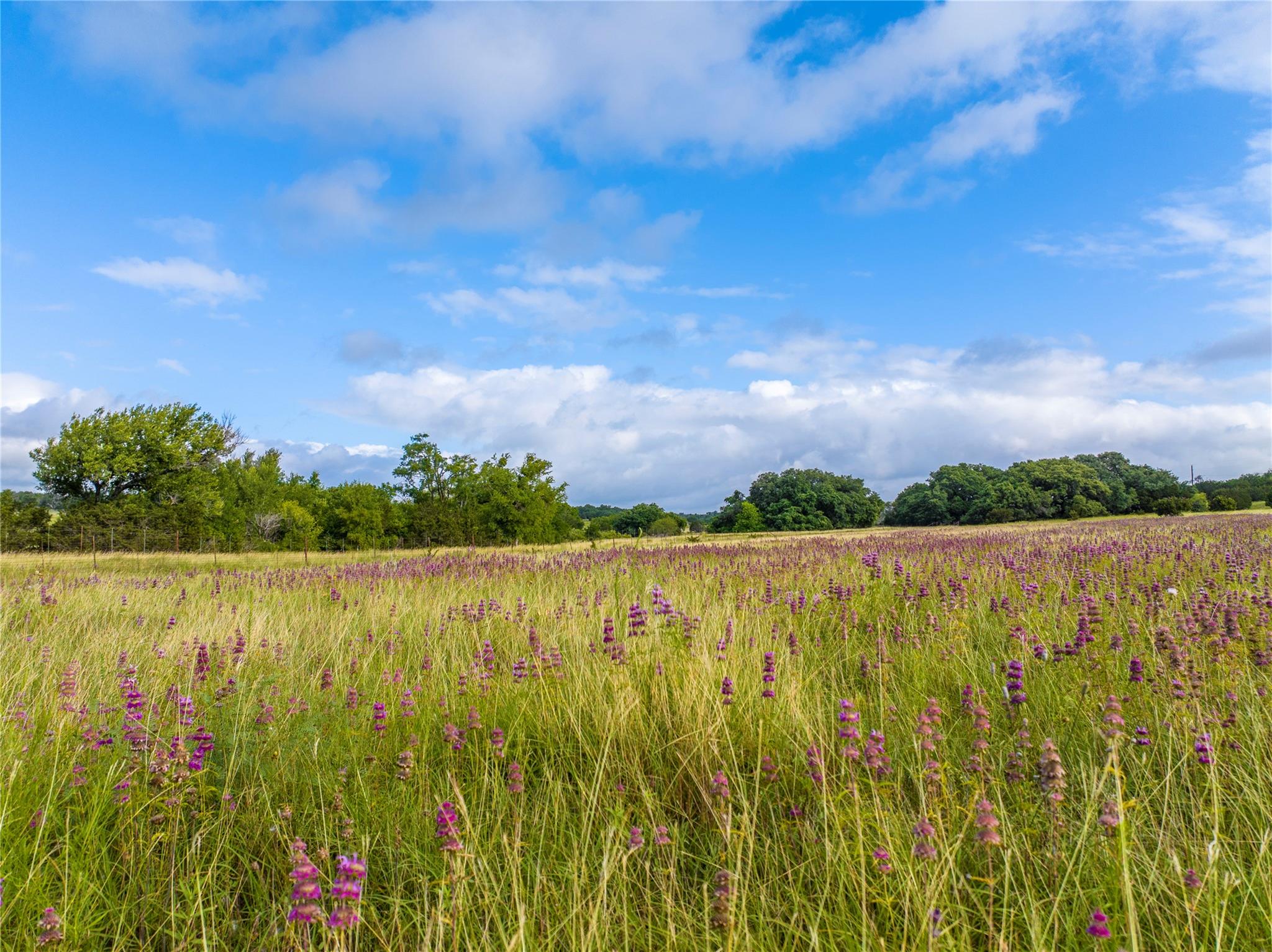 00 Vaquero Vista Trail Lane Lampasas TX 78608