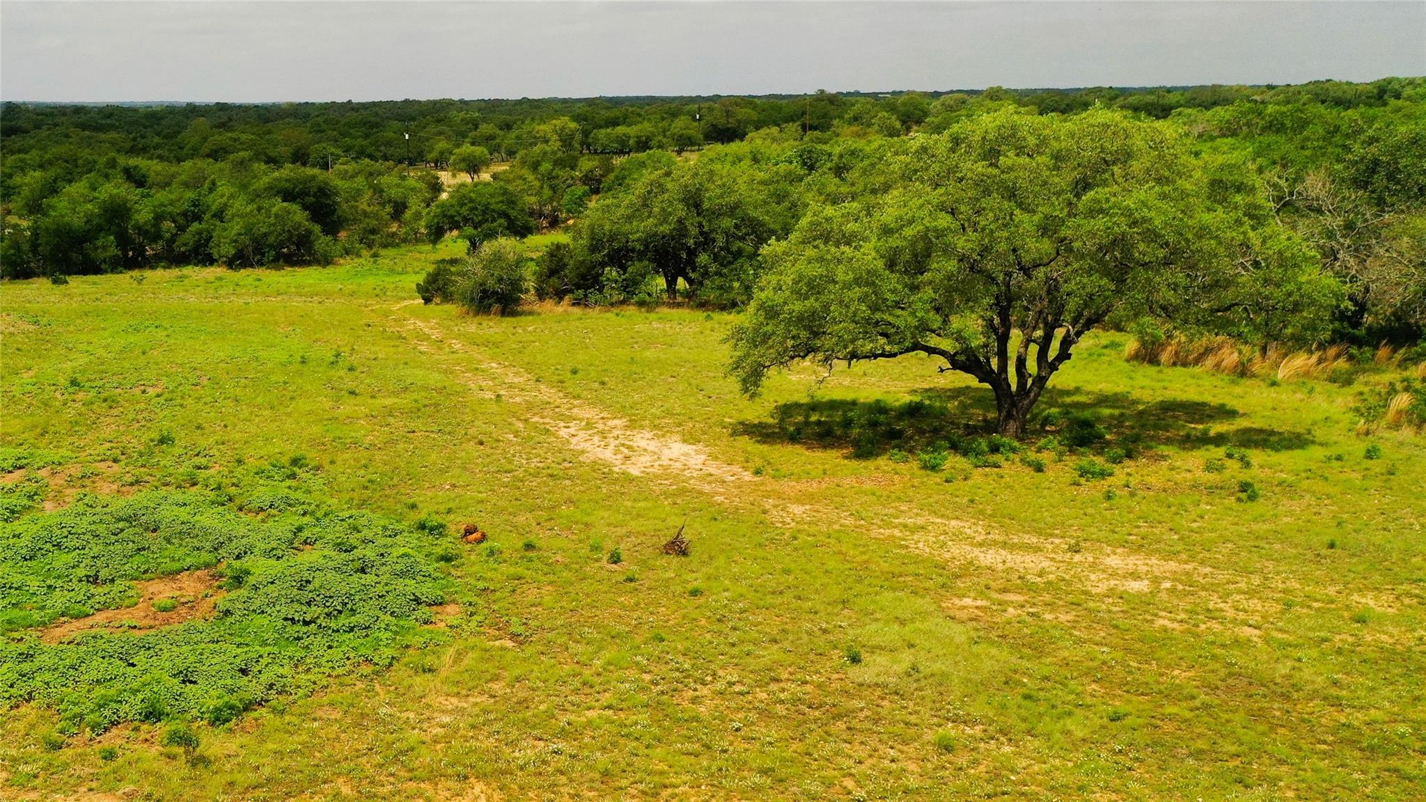 Tbd Cr 321 Bertram TX 78605