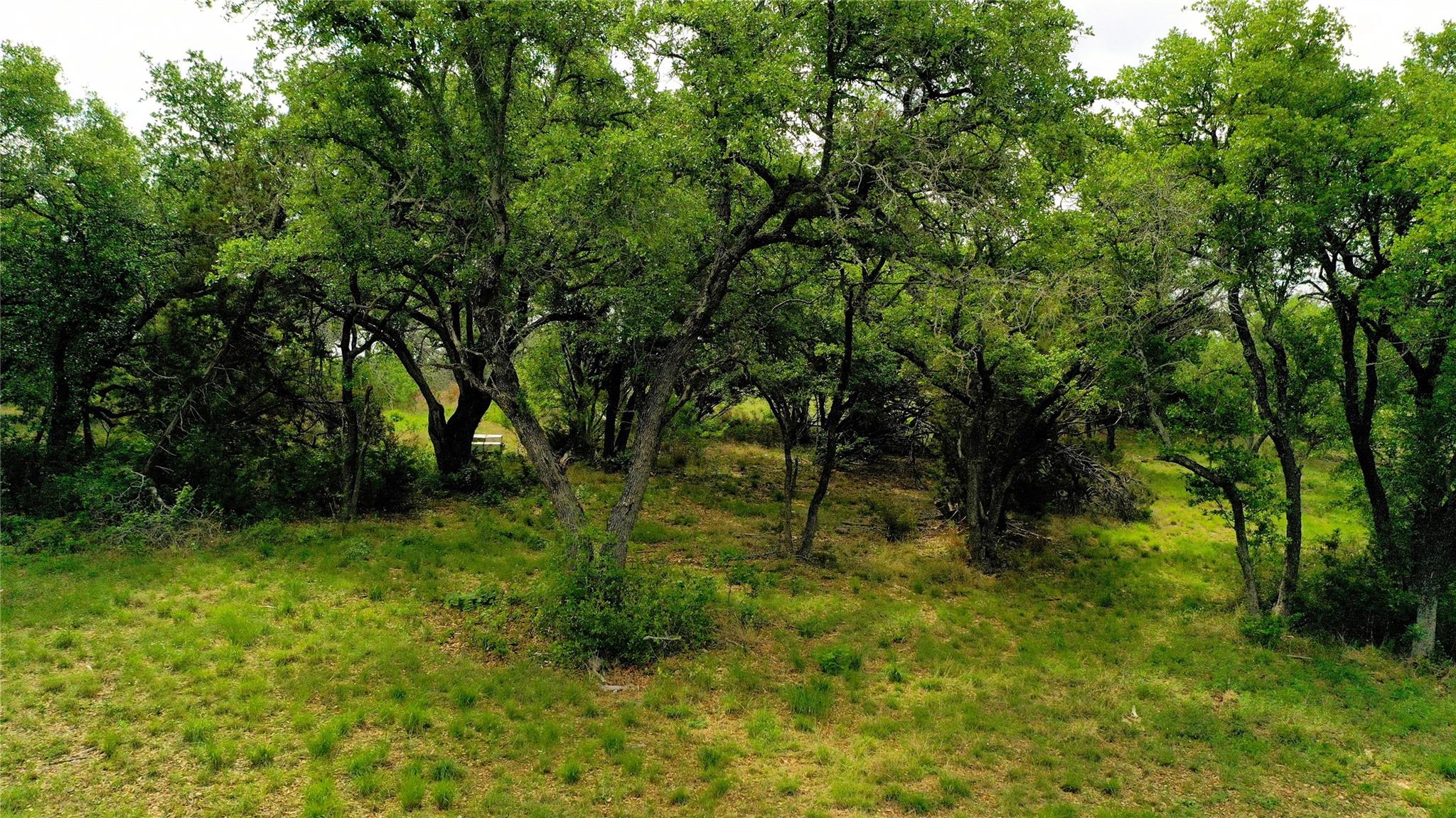 Tbd Cr 321 Bertram TX 78605