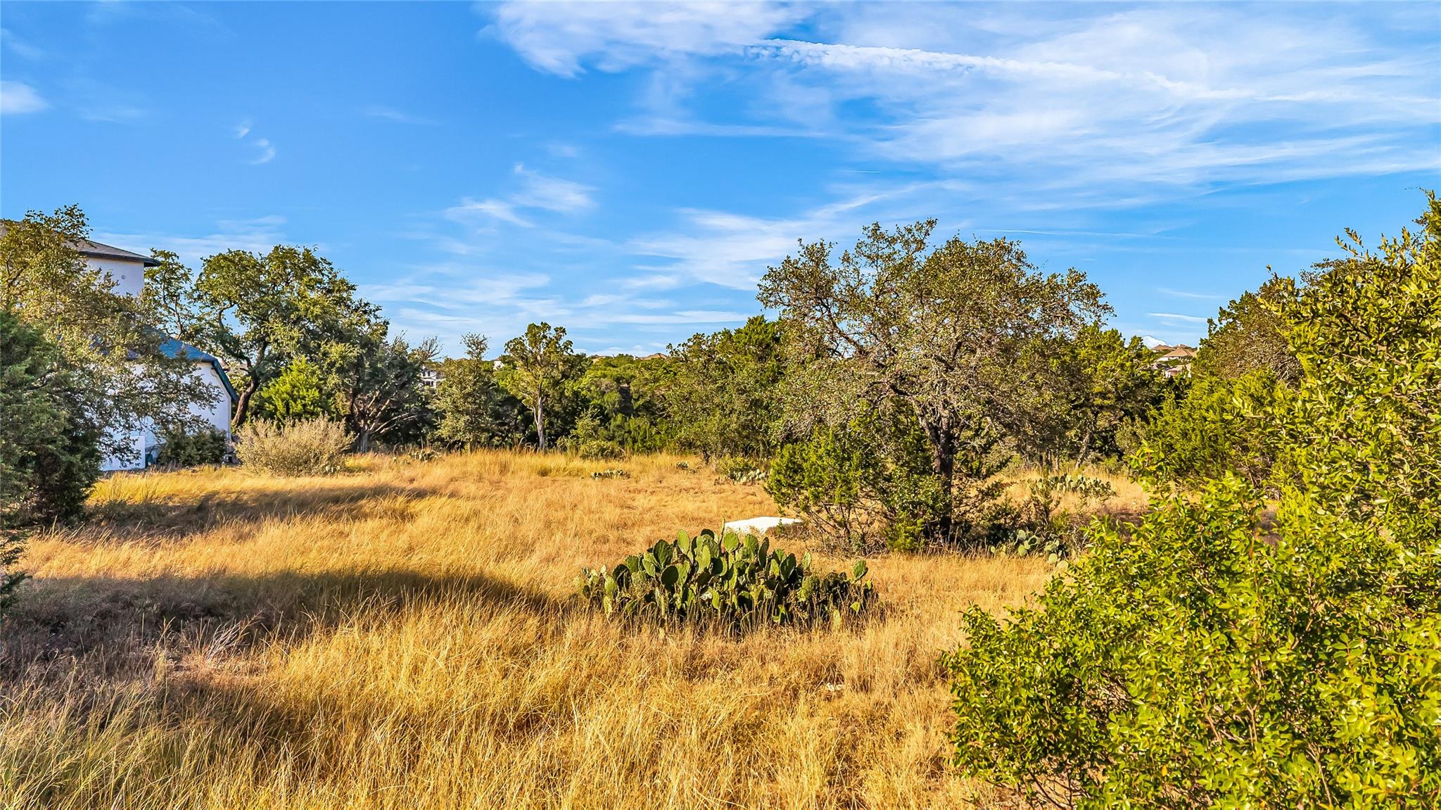 7216 Getaway Drive Jonestown TX 78645