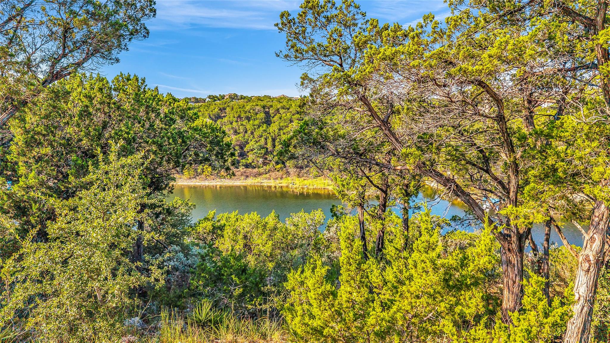 7216 Getaway Drive Jonestown TX 78645