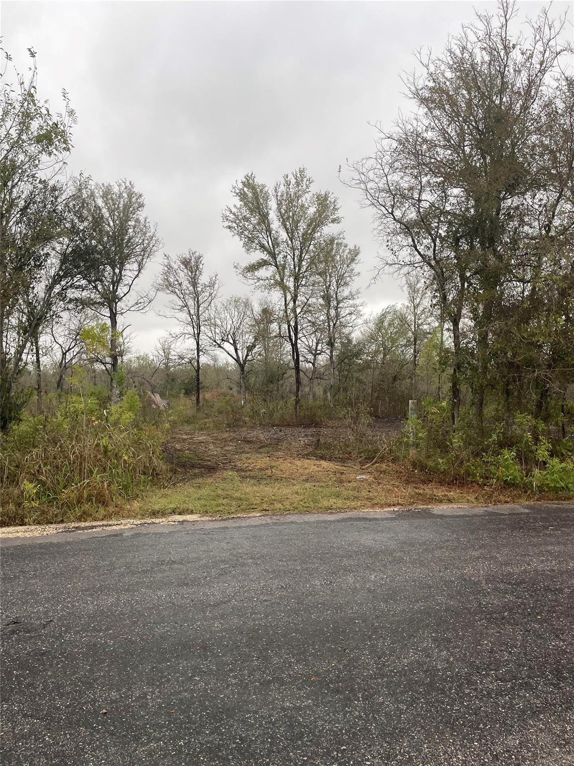 0000 Balch Road Elgin TX 78621