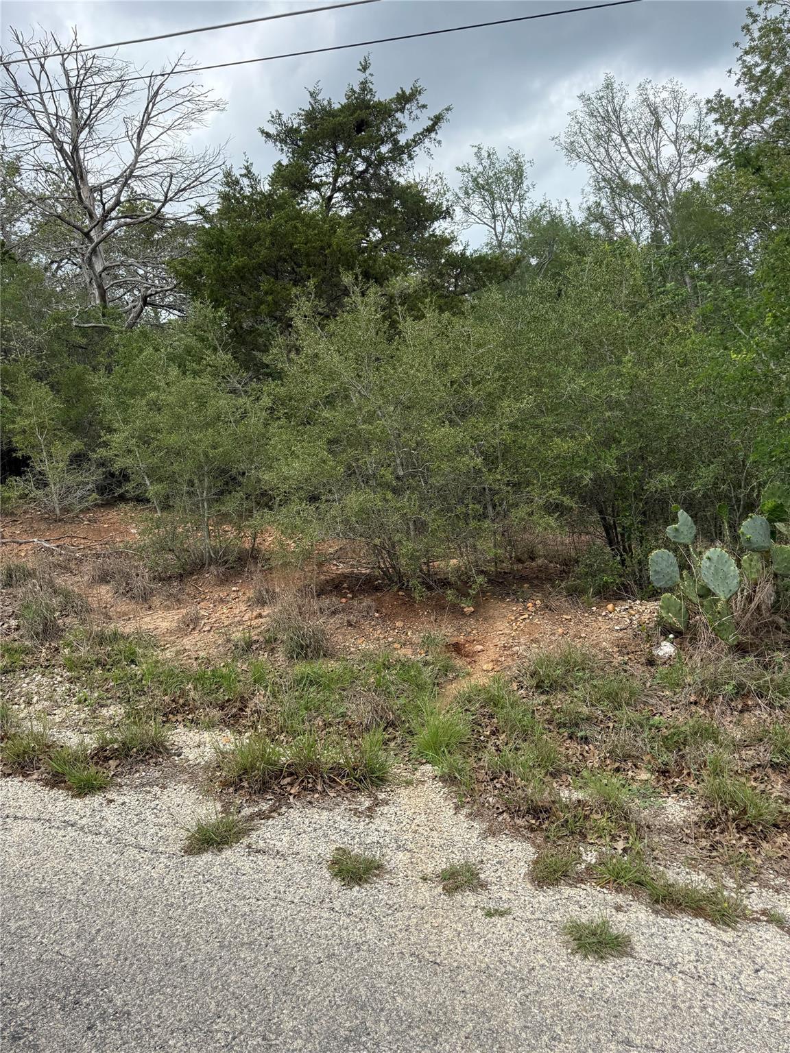 Lot 69 Kaelepulu Drive Bastrop TX 78602