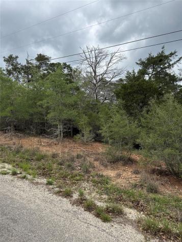 Lot 69 Kaelepulu Drive Bastrop TX 78602