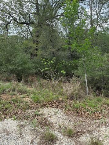 Lot 69 Kaelepulu Drive Bastrop TX 78602