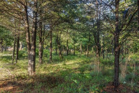 Tbd Lincoln Lake Road Paige TX 78659