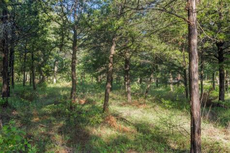 Tbd Lincoln Lake Road Paige TX 78659