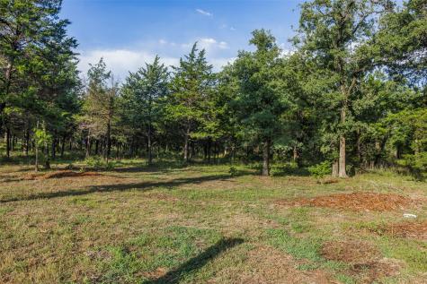 Tbd Lincoln Lake Road Paige TX 78659