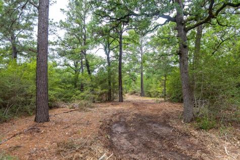 492 S Old Potato Road Paige TX 78659