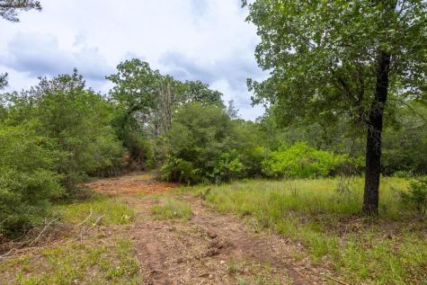 492 S Old Potato Road Paige TX 78659