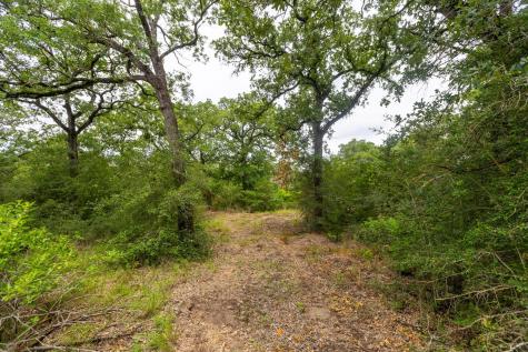 492 S Old Potato Road Paige TX 78659