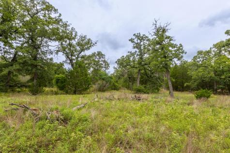 492 S Old Potato Road Paige TX 78659