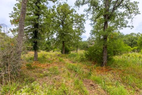 492 S Old Potato Road Paige TX 78659