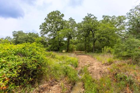 492 S Old Potato Road Paige TX 78659