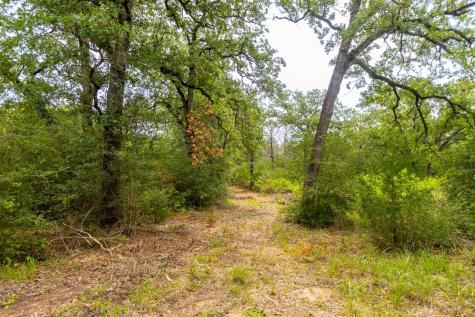 492 S Old Potato Road Paige TX 78659