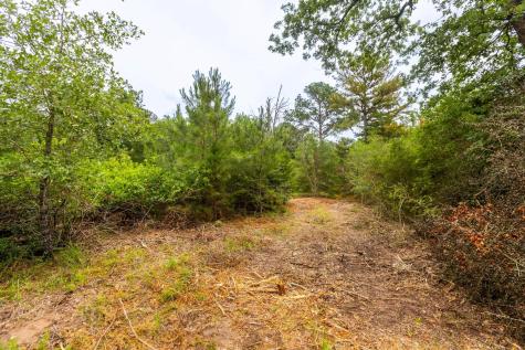 492 S Old Potato Road Paige TX 78659