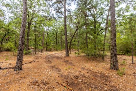 492 S Old Potato Road Paige TX 78659
