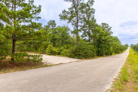 492 S Old Potato Road Paige TX 78659