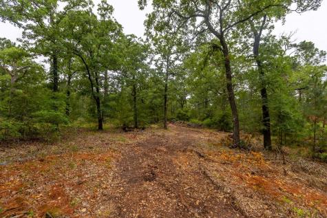 492 S Old Potato Road Paige TX 78659
