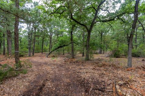 492 S Old Potato Road Paige TX 78659