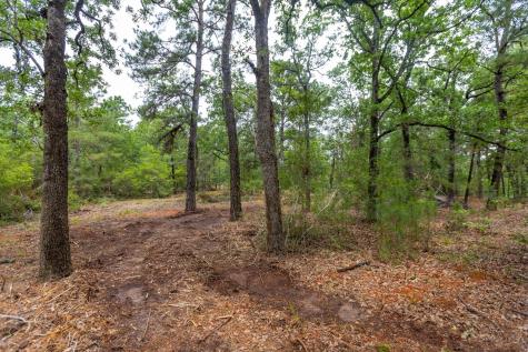 492 S Old Potato Road Paige TX 78659