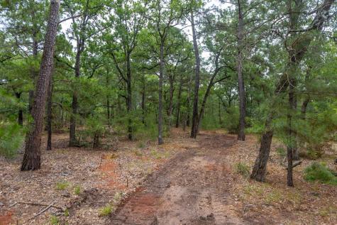 492 S Old Potato Road Paige TX 78659