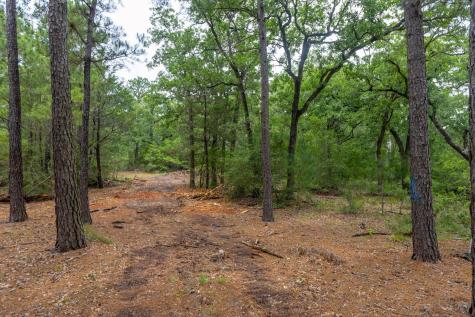 492 S Old Potato Road Paige TX 78659