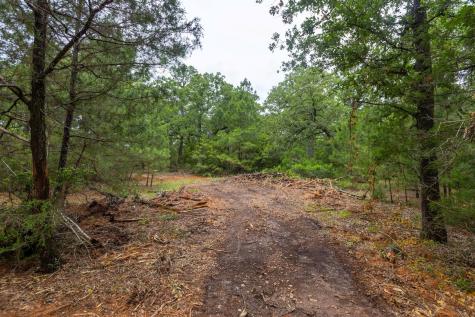 492 S Old Potato Road Paige TX 78659