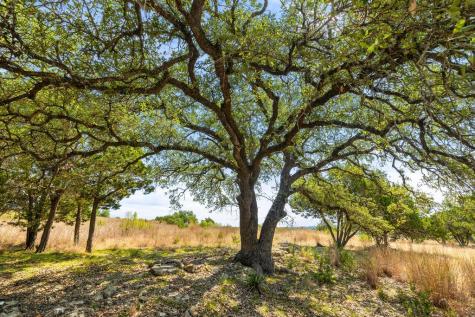 Tract 2 Of 5818 Ranch Road 165 Blanco TX 78606