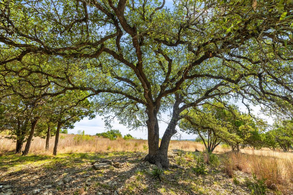 Tract 2 Of 5818 Ranch Road 165 Blanco TX 78606