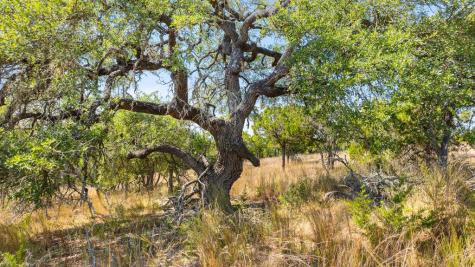 Tract 2 Of 5818 Ranch Road 165 Blanco TX 78606