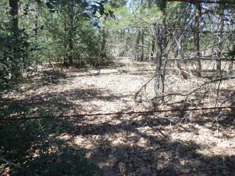 Tbd R68370 Walter Hoffman Road Cedar Creek TX 78612