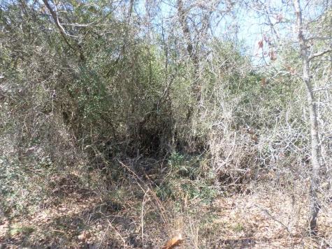Tbd R68370 Walter Hoffman Road Cedar Creek TX 78612