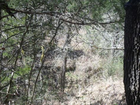 Tbd R68370 Walter Hoffman Road Cedar Creek TX 78612