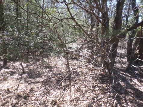 Tbd R68370 Walter Hoffman Road Cedar Creek TX 78612