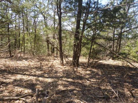 Tbd R68370 Walter Hoffman Road Cedar Creek TX 78612
