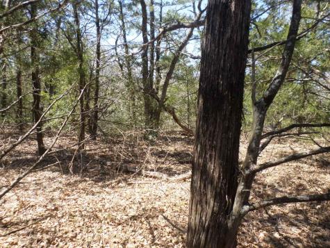 Tbd R68370 Walter Hoffman Road Cedar Creek TX 78612