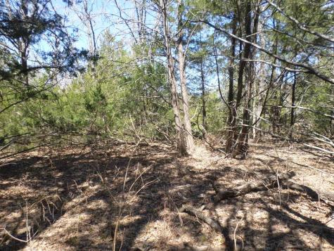 Tbd R68370 Walter Hoffman Road Cedar Creek TX 78612