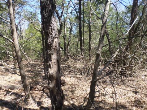 Tbd R68370 Walter Hoffman Road Cedar Creek TX 78612