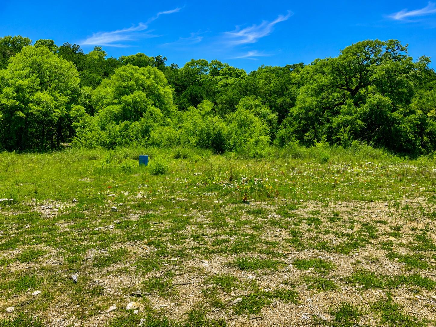 18783 Fm-1431 Jonestown TX 78645