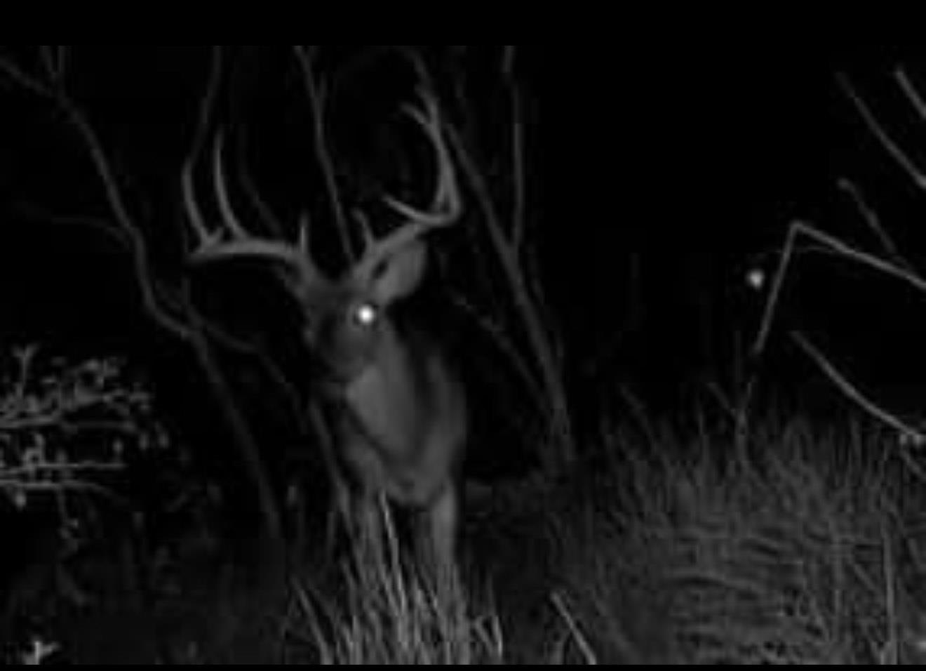 736 Cr 421 Road Waelder TX 78959