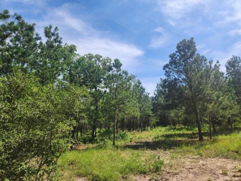 124 Paintbrush Lane Bastrop TX 78602