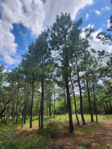 124 Paintbrush Lane Bastrop TX 78602