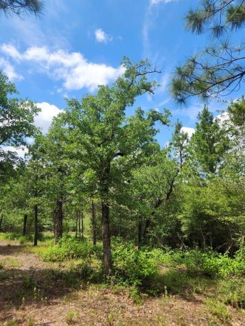 124 Paintbrush Lane Bastrop TX 78602