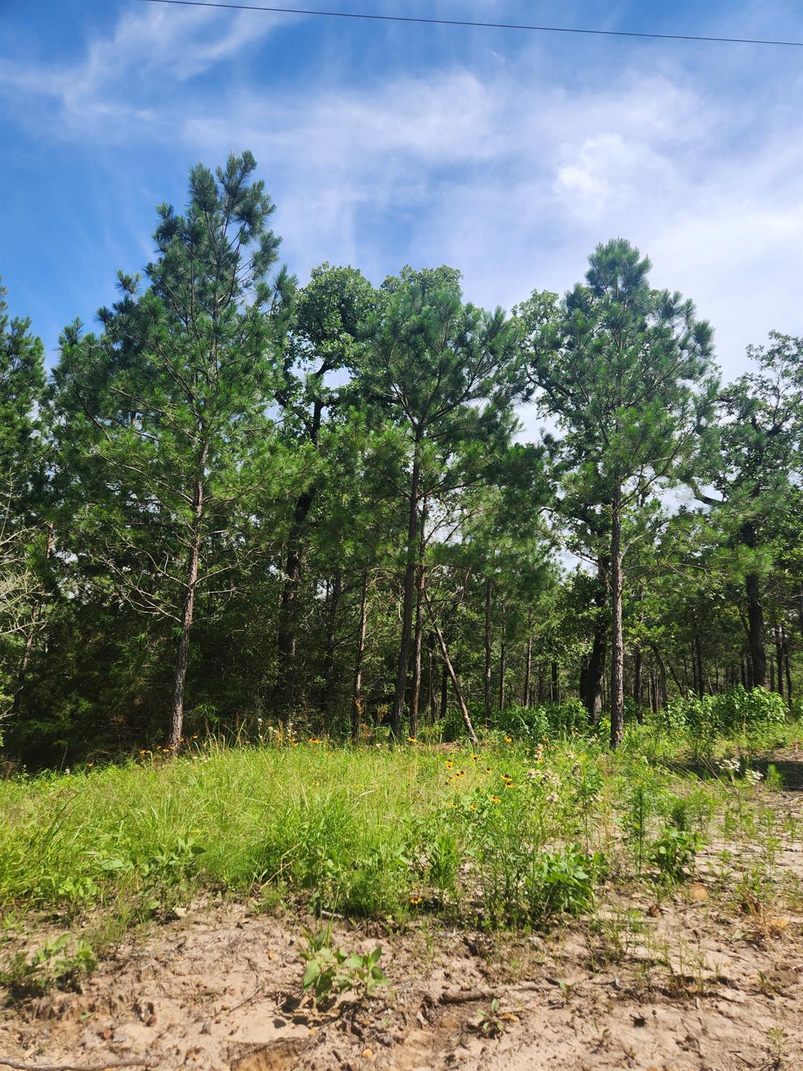 124 Paintbrush Lane Bastrop TX 78602